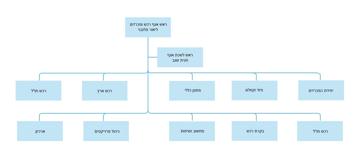 מבנה ארגוני